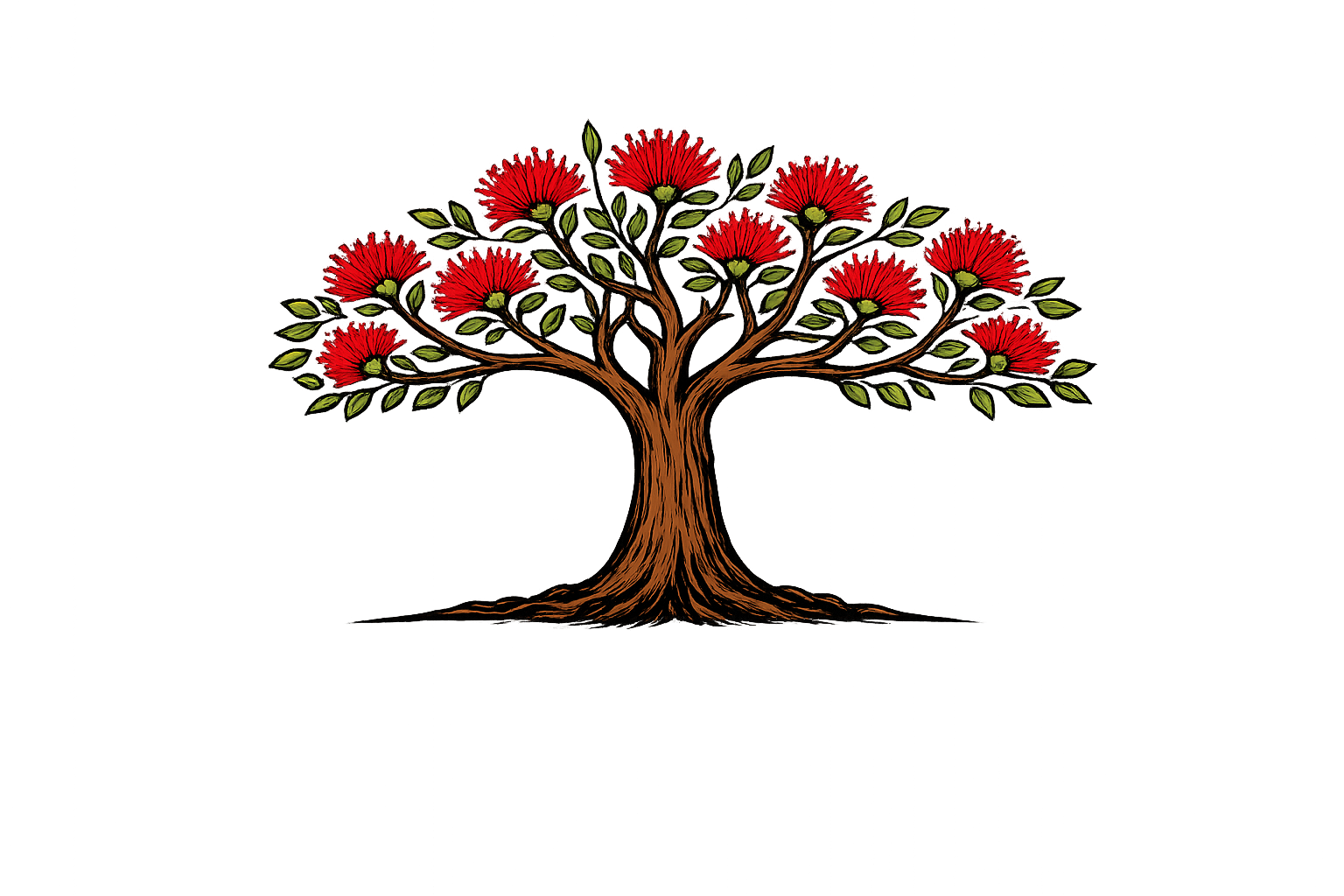 Pōhutukawa tree illustration